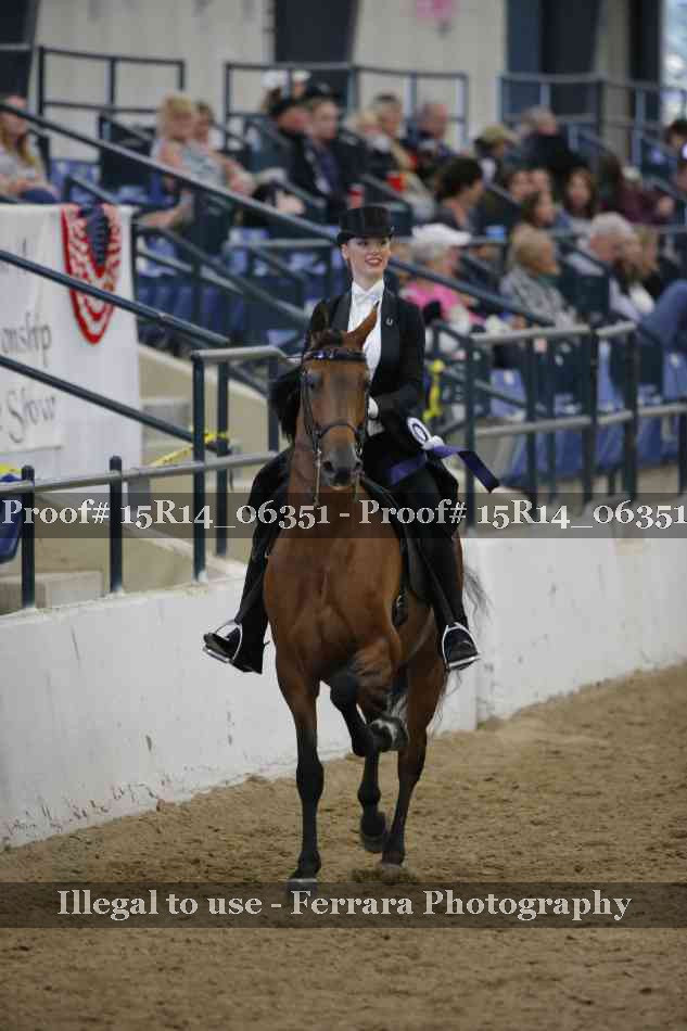 Proof 15R14_06351