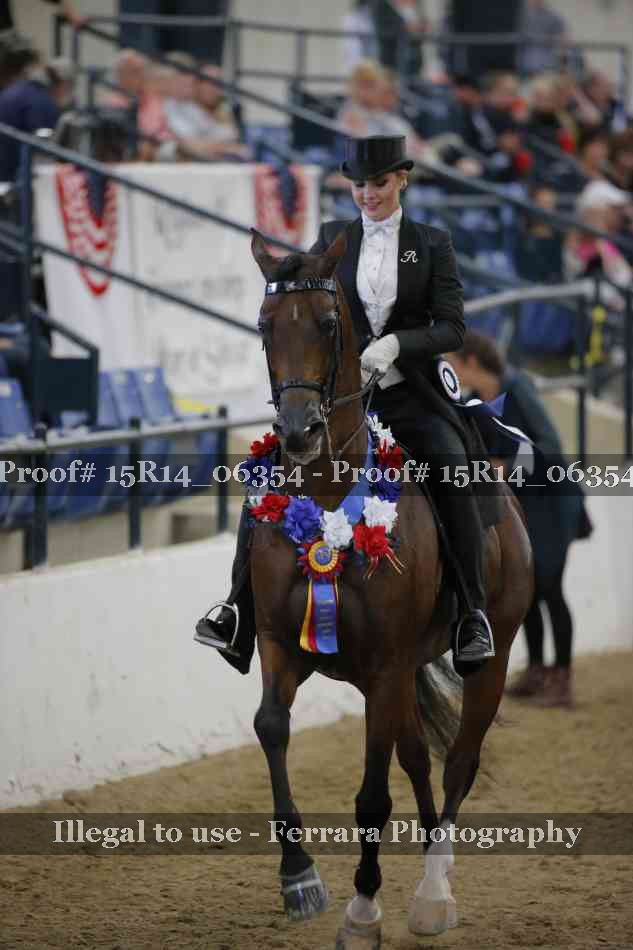 Proof 15R14_06354