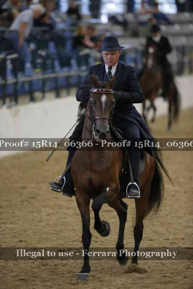 Proof 15R14_06366