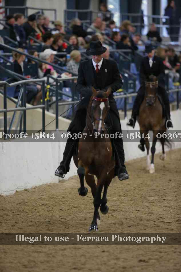 Proof 15R14_06367