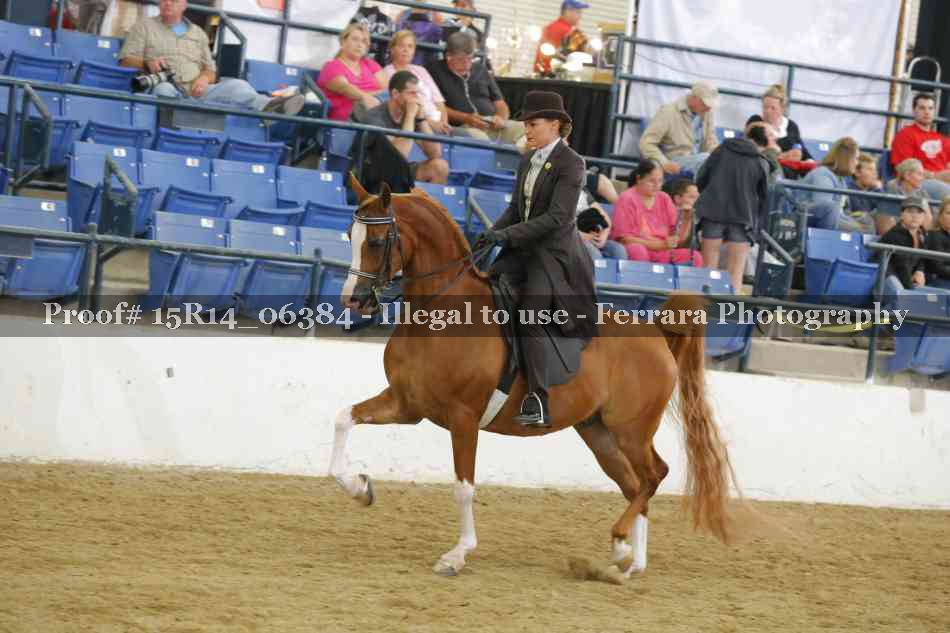Proof 15R14_06384