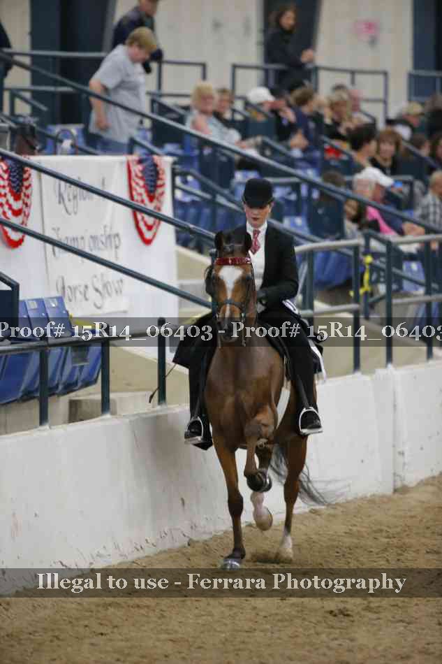 Proof 15R14_06403