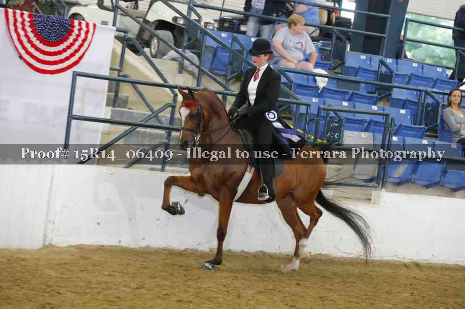 Proof 15R14_06409
