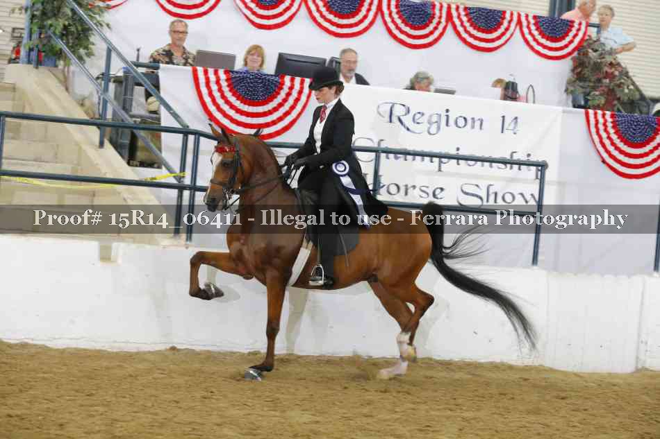 Proof 15R14_06411