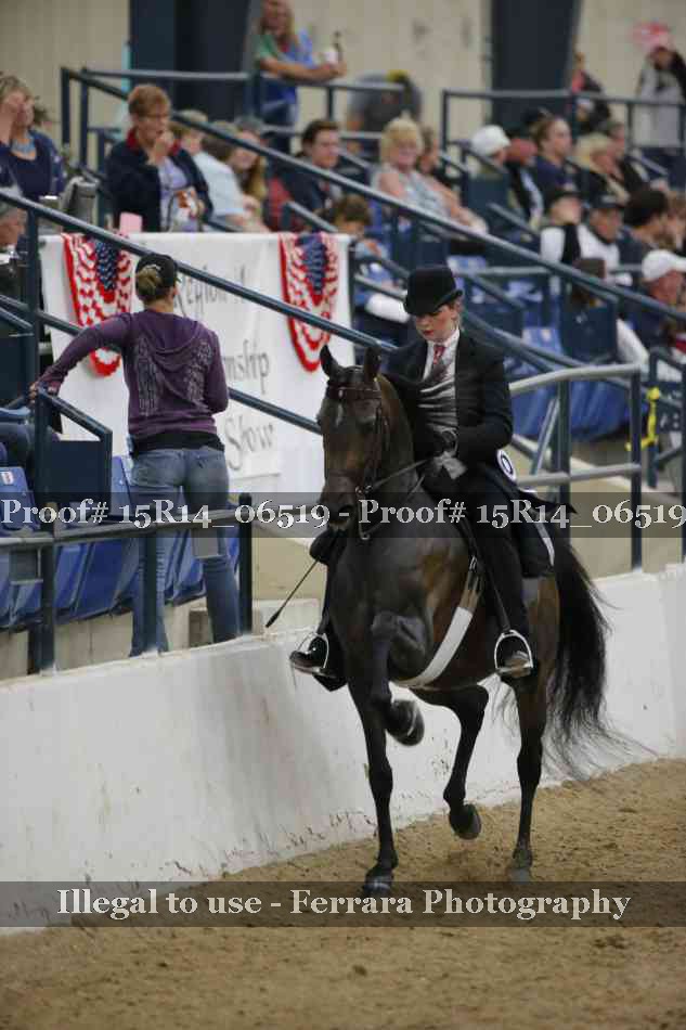 Proof 15R14_06519