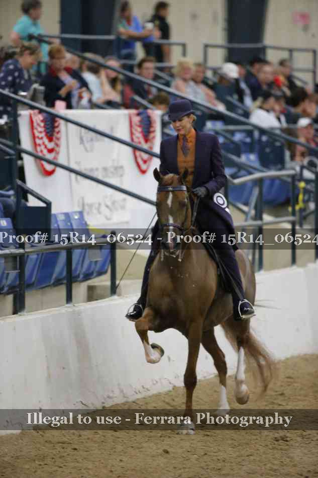 Proof 15R14_06524