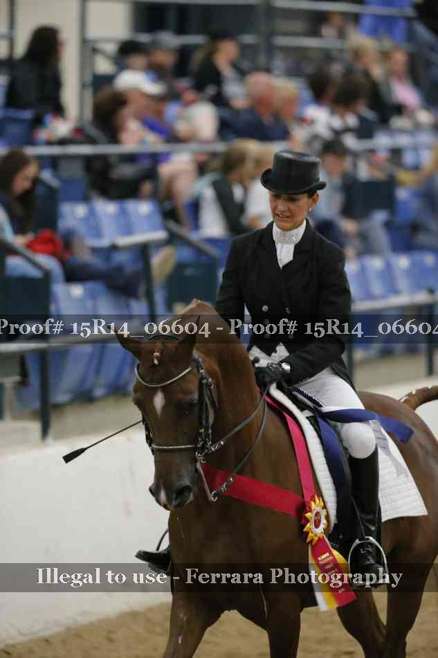 Proof 15R14_06604