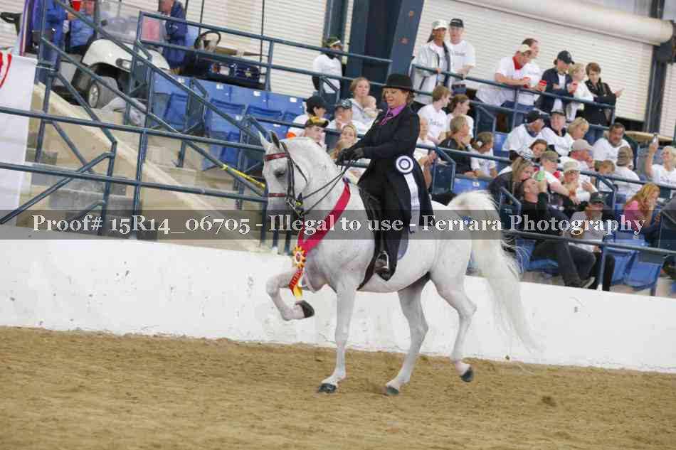 Proof 15R14_06705