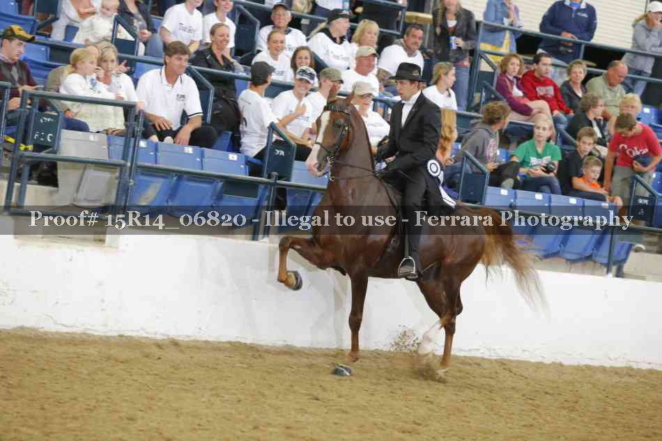 Proof 15R14_06820