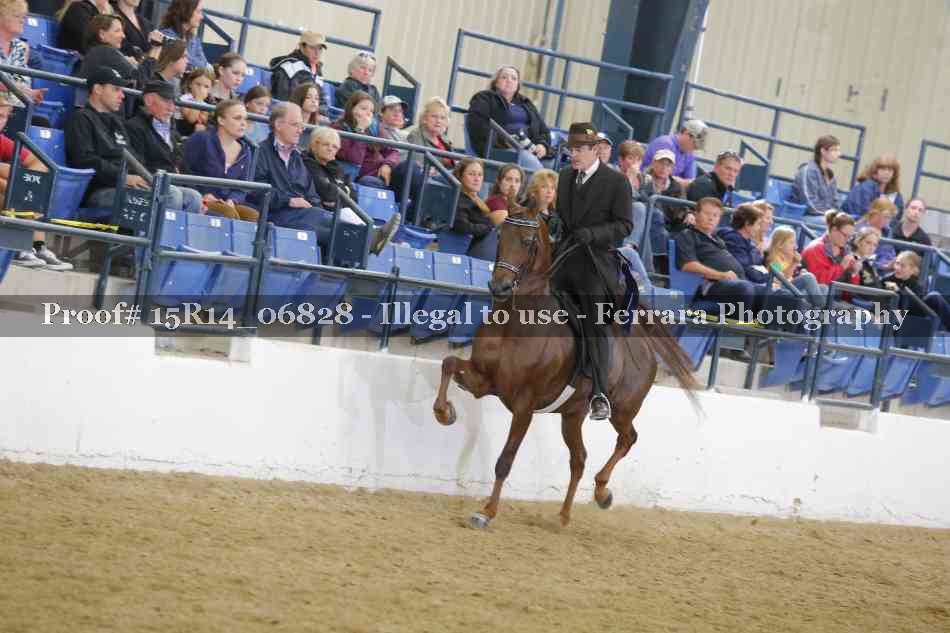 Proof 15R14_06828
