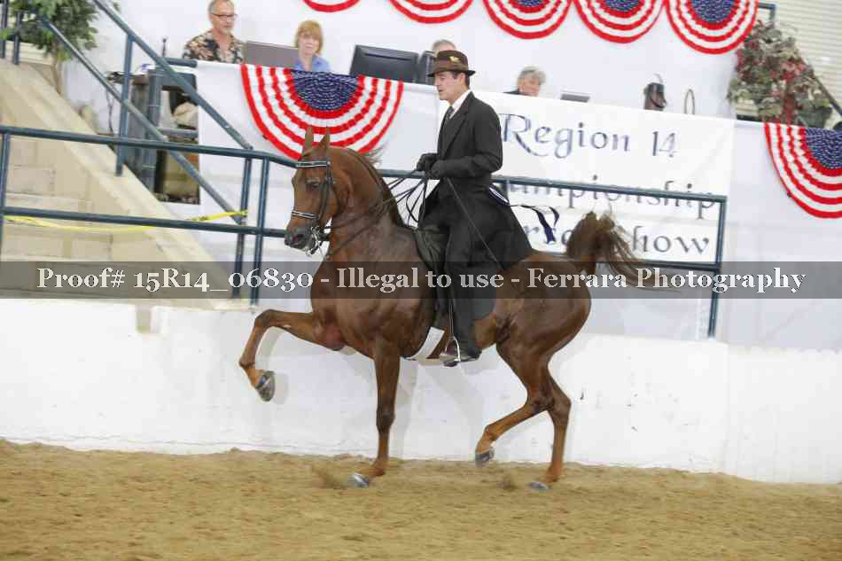 Proof 15R14_06830