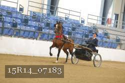 15R14_07183 proof