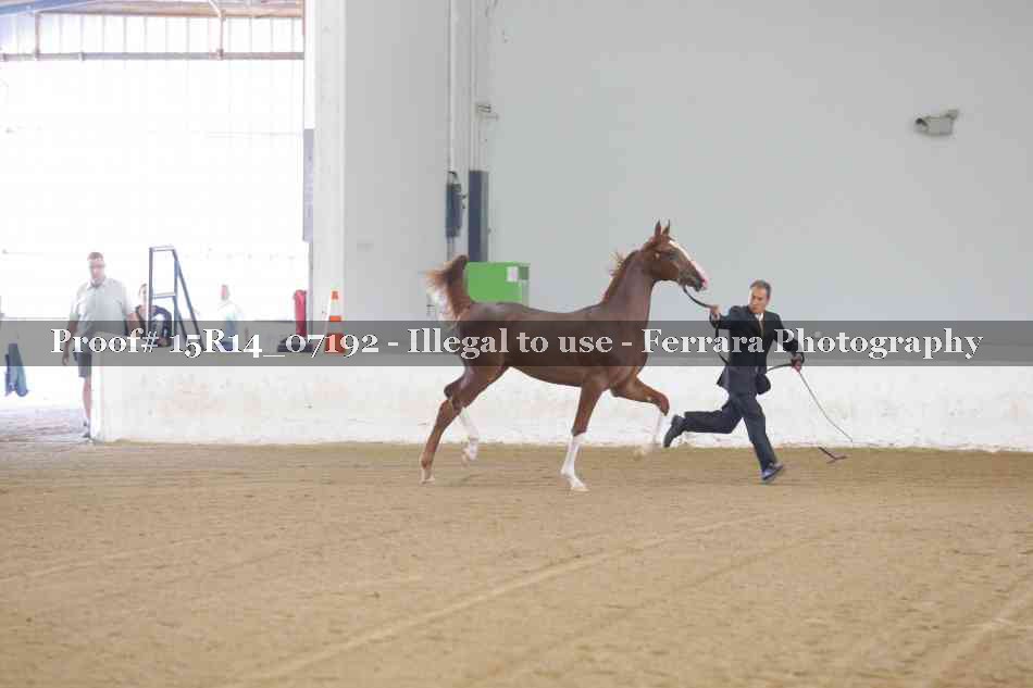 Proof 15R14_07192