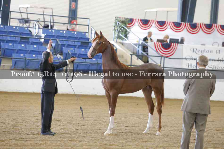 Proof 15R14_07196