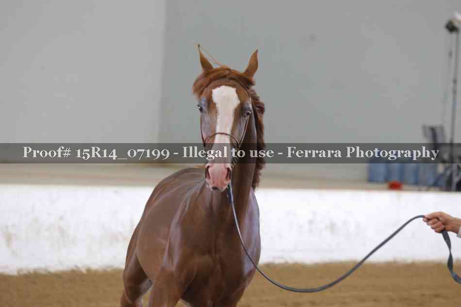 Proof 15R14_07199