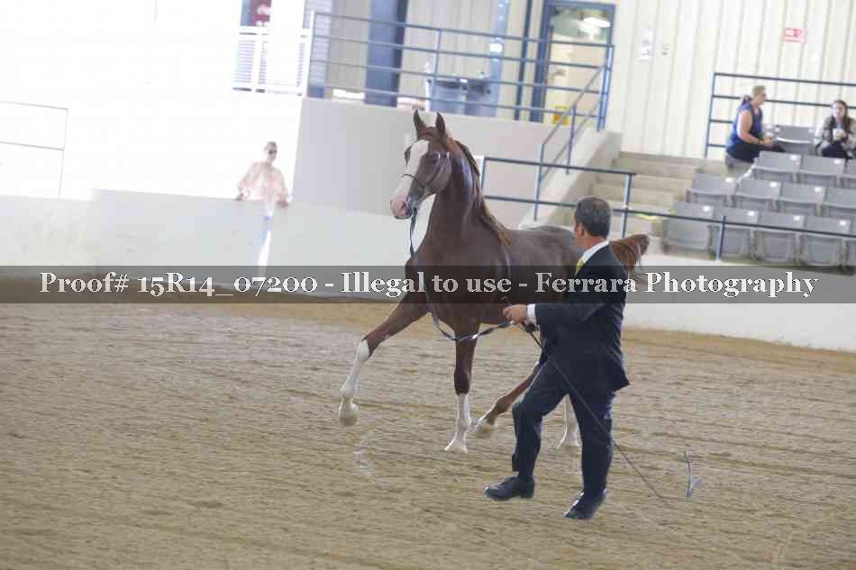 Proof 15R14_07200