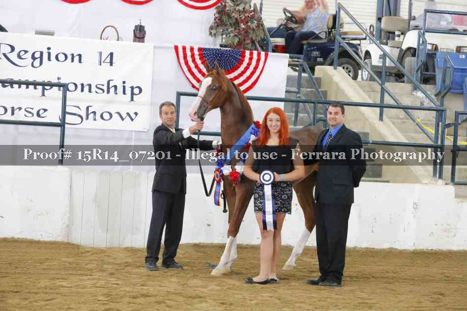 Proof 15R14_07201