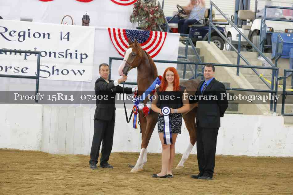 Proof 15R14_07202