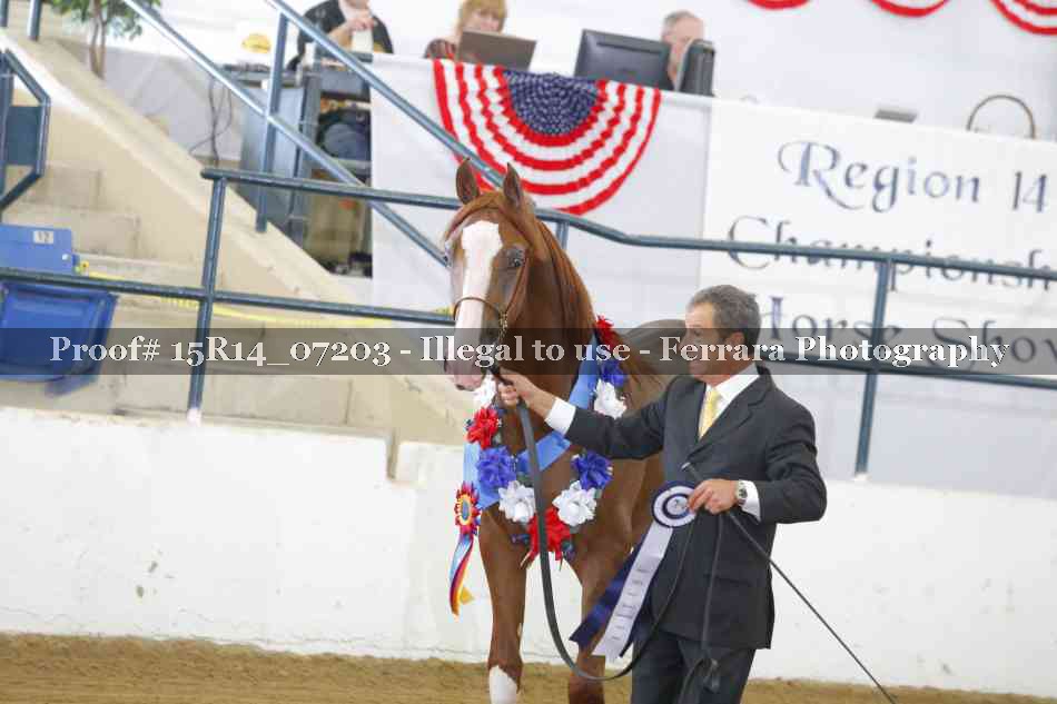 Proof 15R14_07203