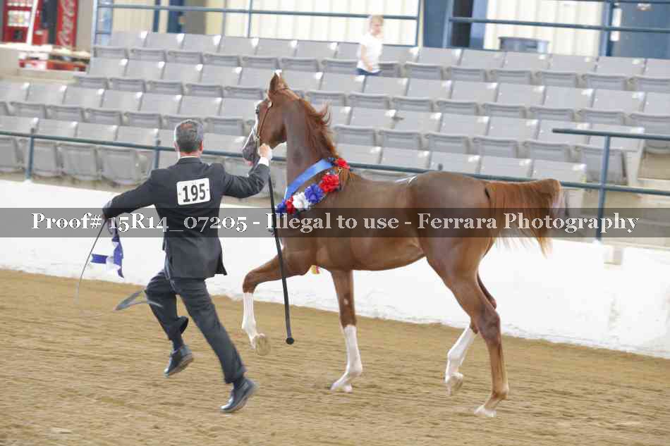Proof 15R14_07205