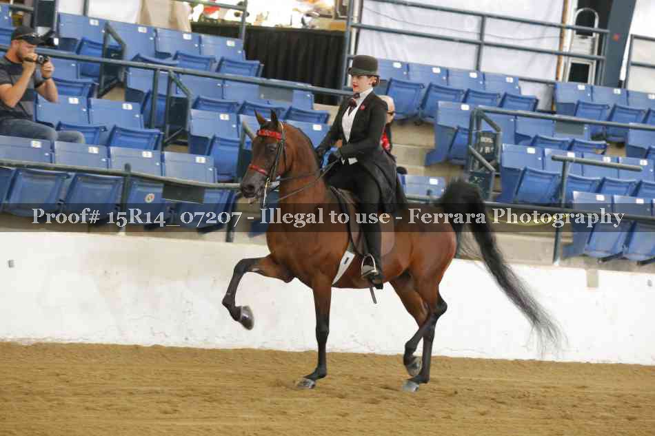 Proof 15R14_07207