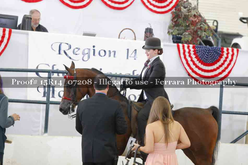 Proof 15R14_07208