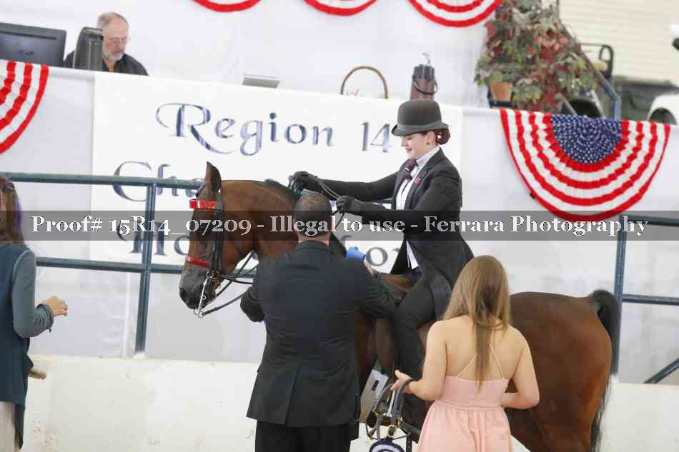 Proof 15R14_07209