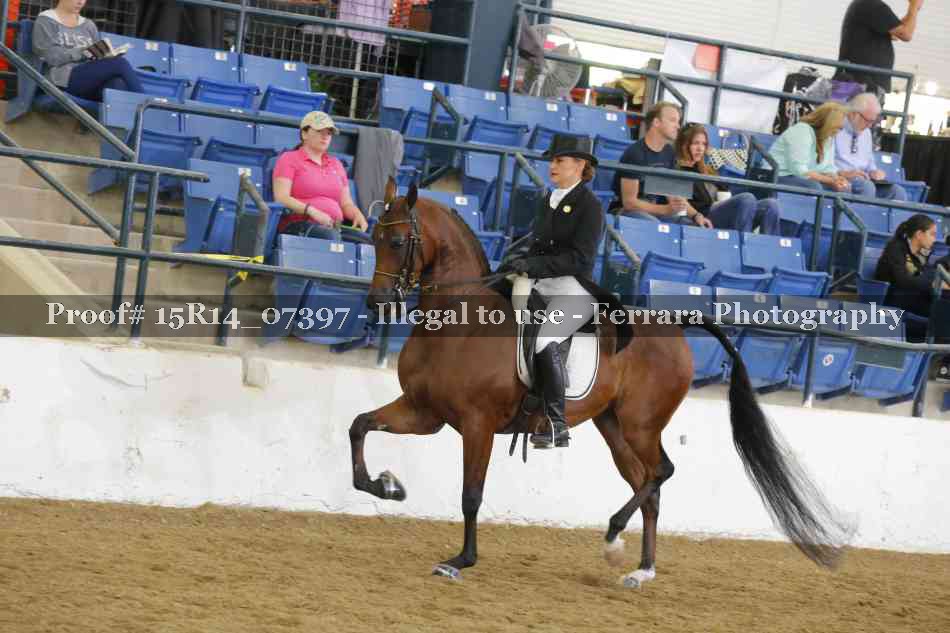 Proof 15R14_07397