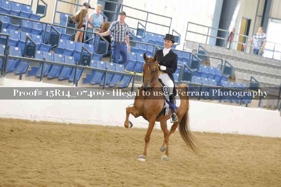Proof 15R14_07409