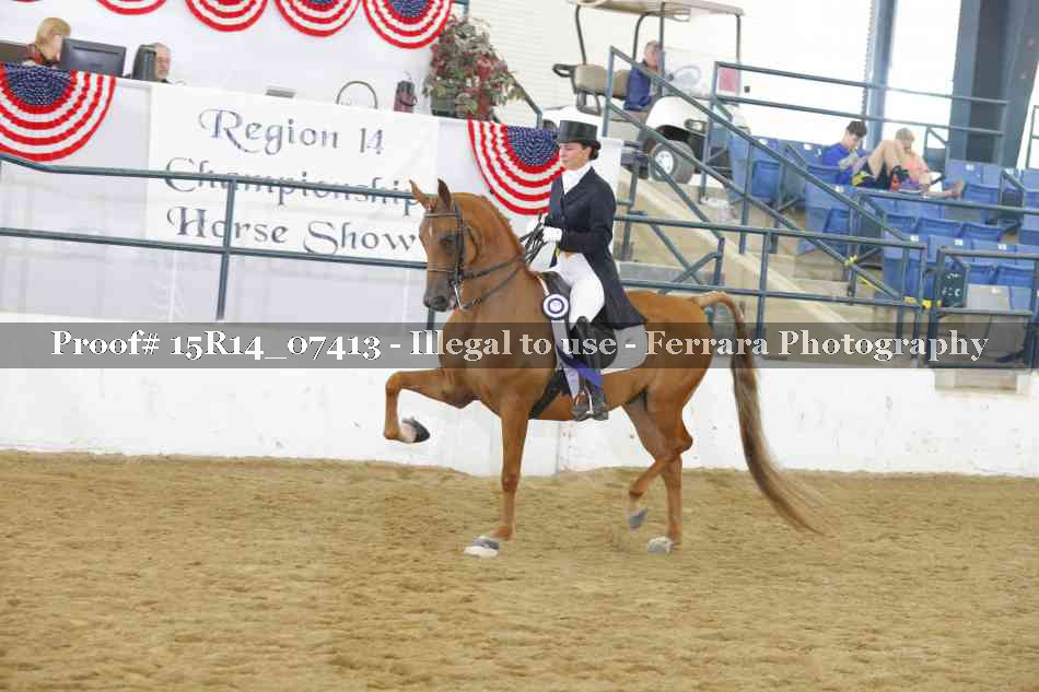 Proof 15R14_07413