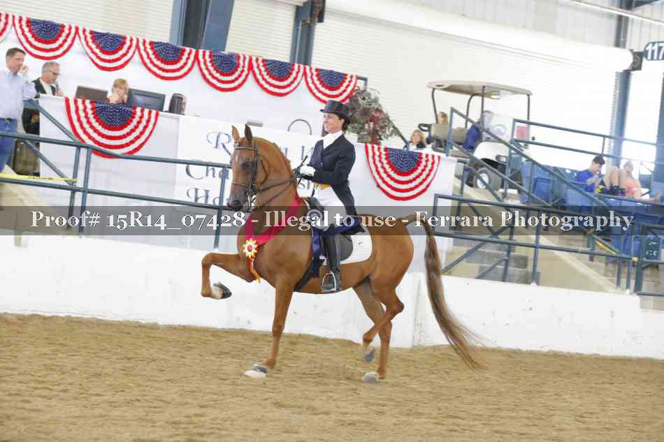 Proof 15R14_07428