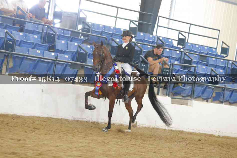 Proof 15R14_07433