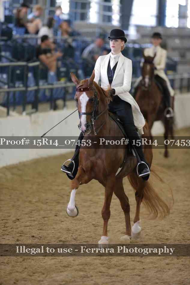 Proof 15R14_07453