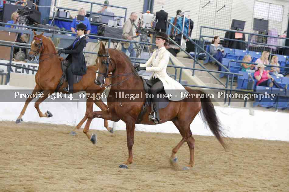 Proof 15R14_07456