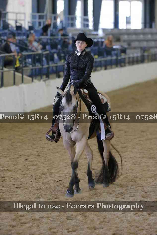 Proof 15R14_07528
