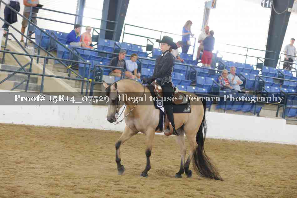 Proof 15R14_07529