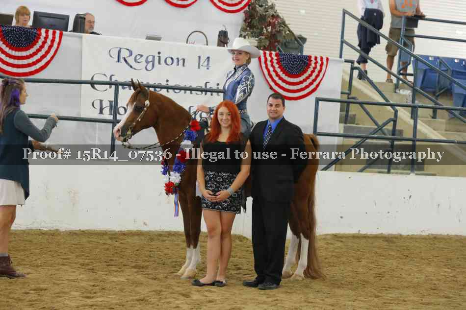 Proof 15R14_07536