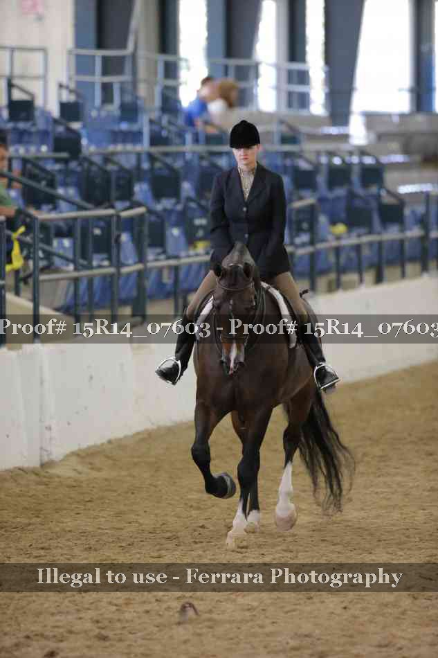 Proof 15R14_07603