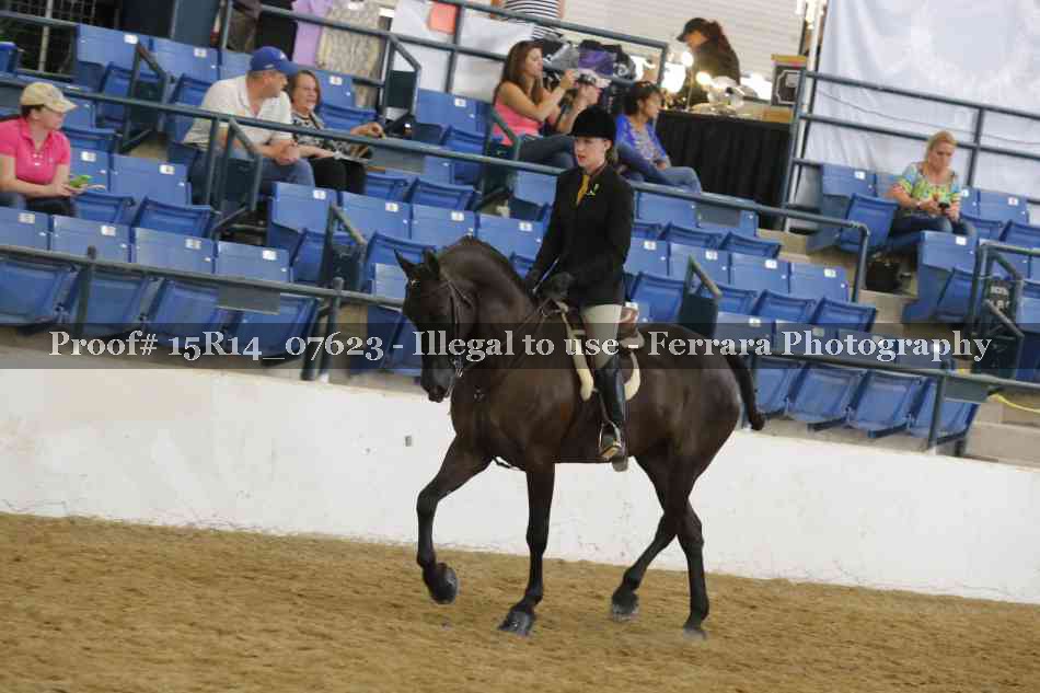 Proof 15R14_07623