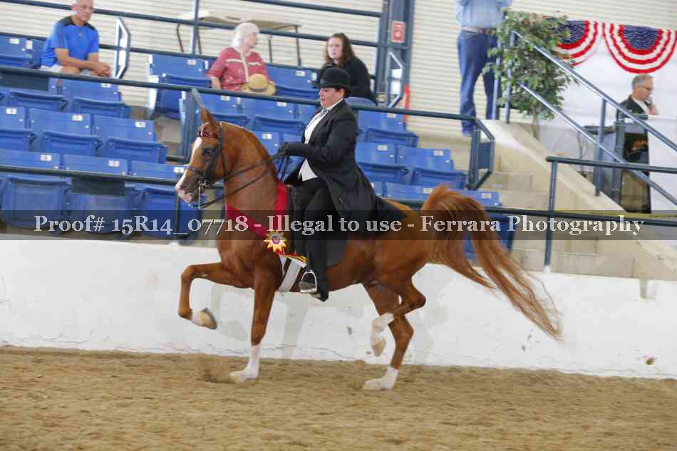 Proof 15R14_07718