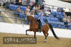 15R14_07853 proof