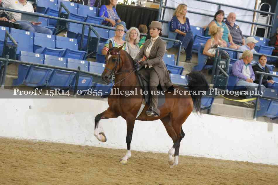 Proof 15R14_07855