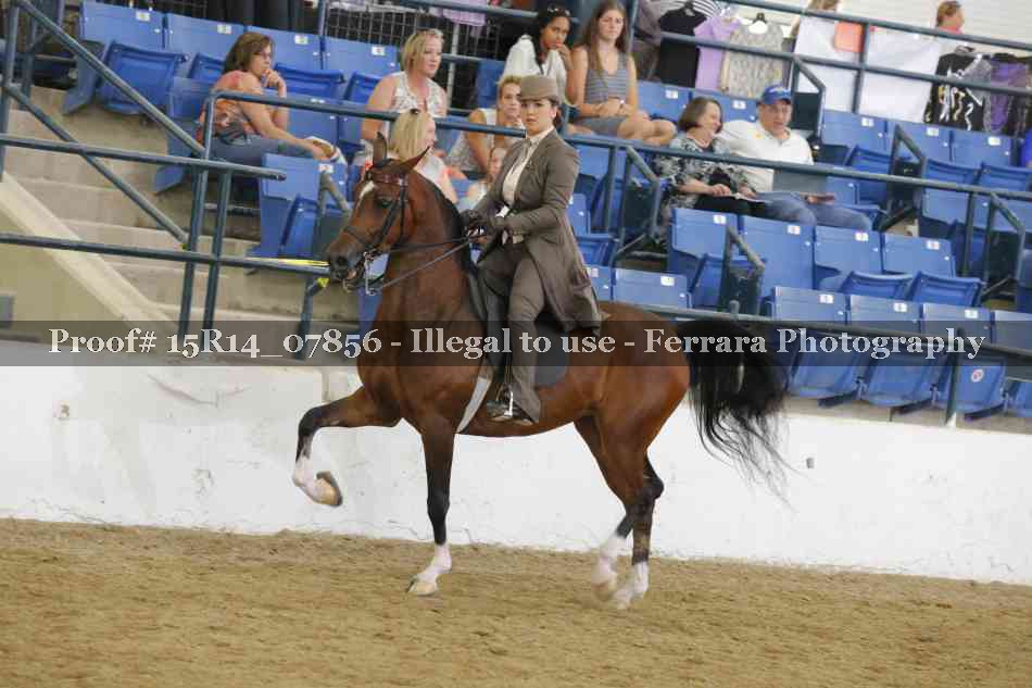 Proof 15R14_07856