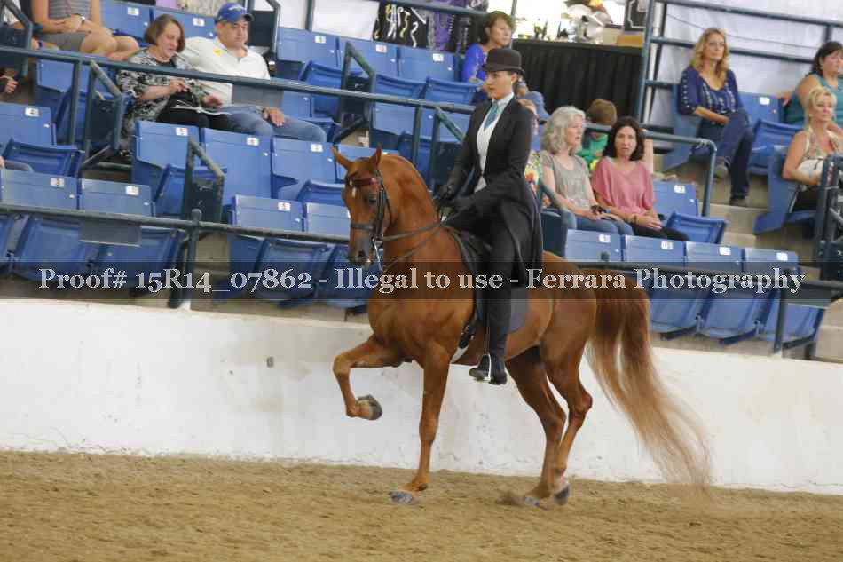 Proof 15R14_07862
