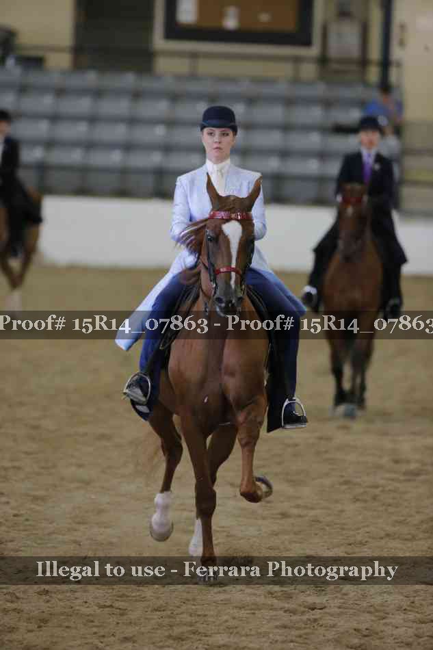 Proof 15R14_07863