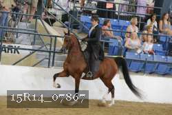 15R14_07867 proof
