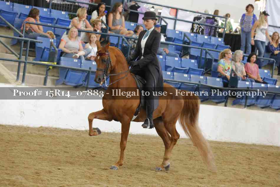 Proof 15R14_07883