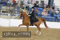 15R14_07884 proof