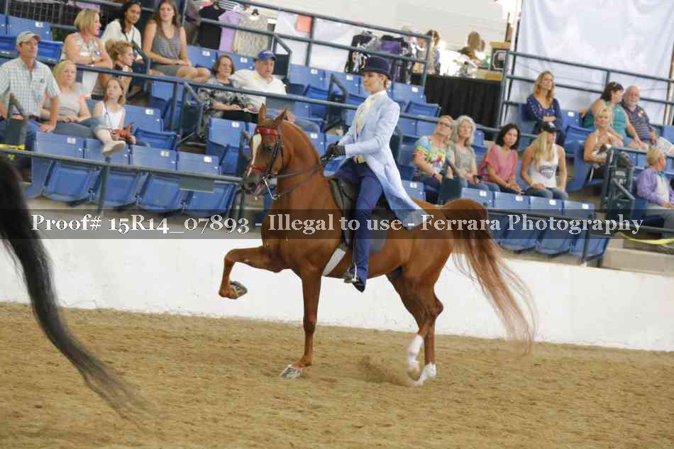 Proof 15R14_07893