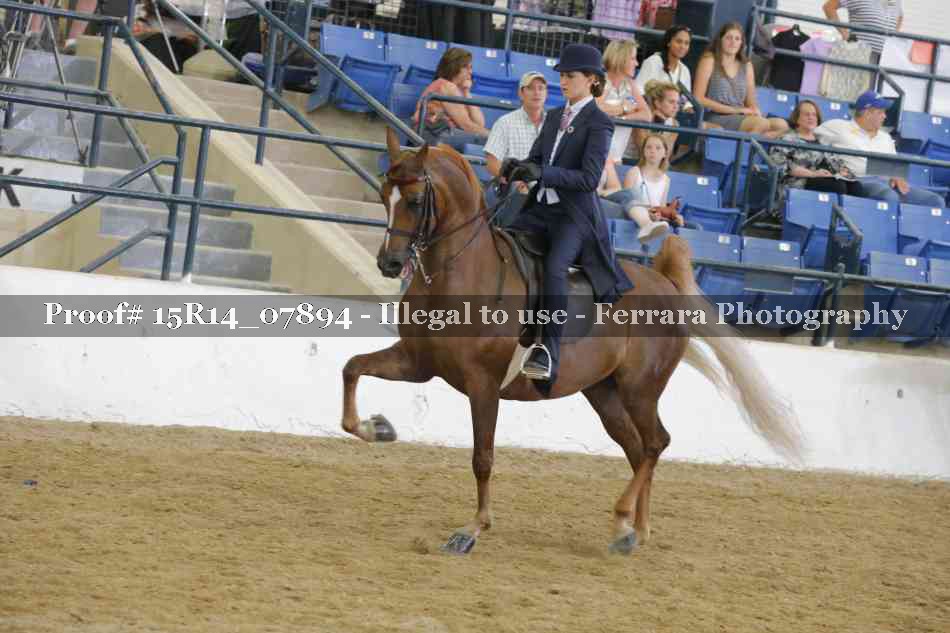 Proof 15R14_07894